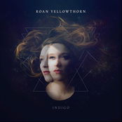 Roan Yellowthorn: Indigo