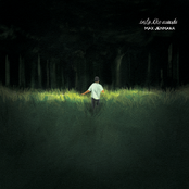 วันหนึ่งฉันเดินเข้าป่า