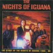 Dry Nancy by The Nights Of Iguana