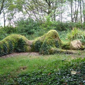 Mother Nature's True Soul