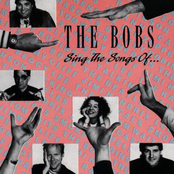 The Bobs: Sing the Songs of...