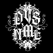 DVS NME