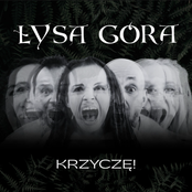 Krzyczę