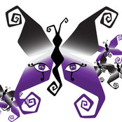 The Eye Of The Butterfly