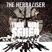The Herbaliser - There Were Seven