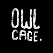 Owl Cage
