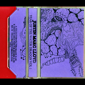 year of the water dragon vol. 1