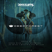 Deep Forest