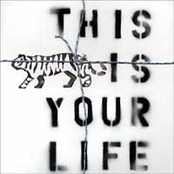 This Is Your Life