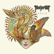 Kvelertak: Splid