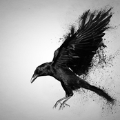 Demos from "The Vultures are Circling"