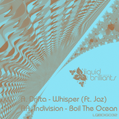 Boil The Ocean by Indivision