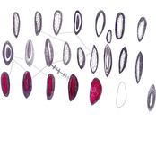 Our Noise (Reflections)