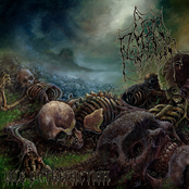 Vile Putrefaction