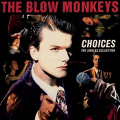 The Blow Monkeys: Choices, The Single Collection