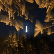 ∞ ∿ ⋯ ⋆ ∿ ⊹ omg沒對焦⊹ ∿ ⋆⋯ ∿ ∞