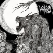 Vomitwolves