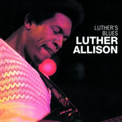Into My Life by Luther Allison