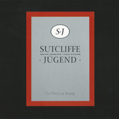 The Victim as Beauty