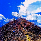 Little Life, Little Death