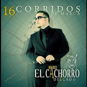 16 Corridos De Marca