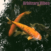 Arbitrary Vibes