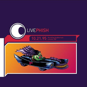 Acoustic Army by Phish
