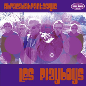 les playboys