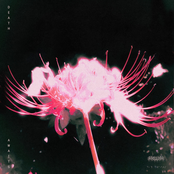 Blind Equation: DEATH AWAITS