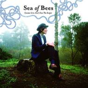 With Or Without You by Sea Of Bees