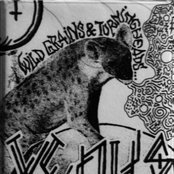 Wild Grains & Turningheads...