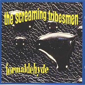 Painted Memory by The Screaming Tribesmen