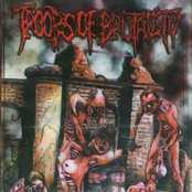 Need The Healer For This Sick World