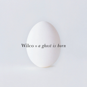 Wilco: A Ghost is Born