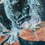 Little Kid: SUN MILK