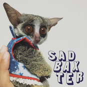 Sad Baxter: Baby