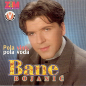 Pola Vino, Pola Voda