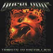 Overload II: A Black Metal Tribute to Metallica