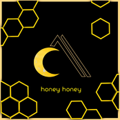 Moonroof: Honey Honey