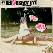 Different Gear, Still Speeding Cover Art