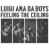 Feeling The Ceiling [Reissue 2024]