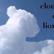 cloud or lion?