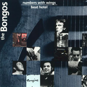 The Bongos: Numbers With Wings / Beat Hotel