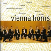 Vienna Horns