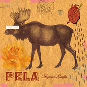 Song Writes Itself by Pela