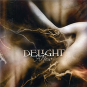 Anew by Delight