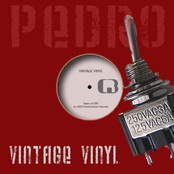 Vintage Vinyl [12" single]