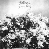 Cash Langdon: Sinister Feeling