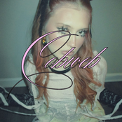 Cobweb