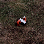 I Wouldn't Trade a Thing